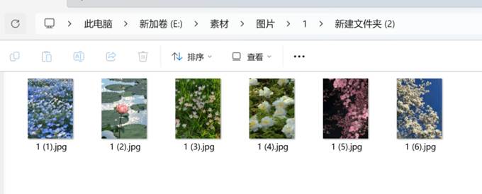 图片_x0020_1