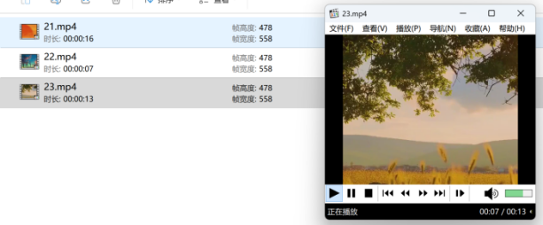 查看结果