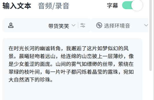 文案输入界面