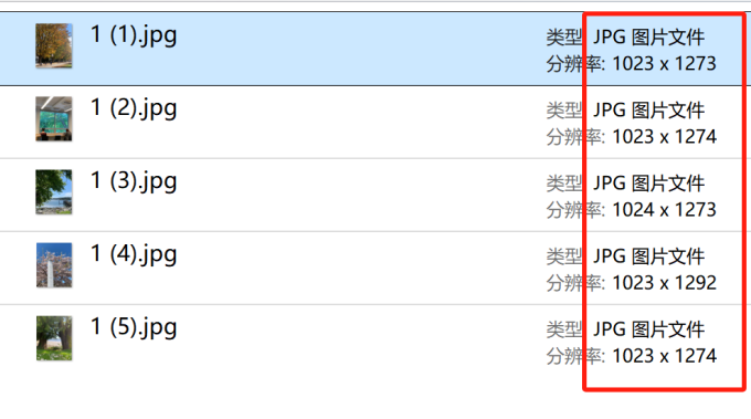 查看结果