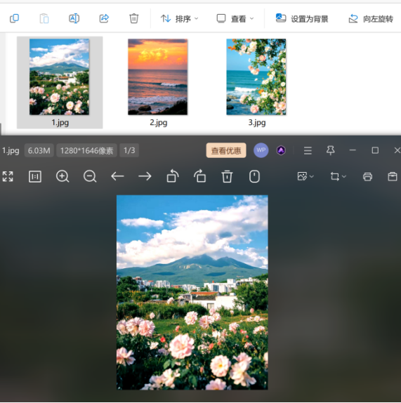 查看结果