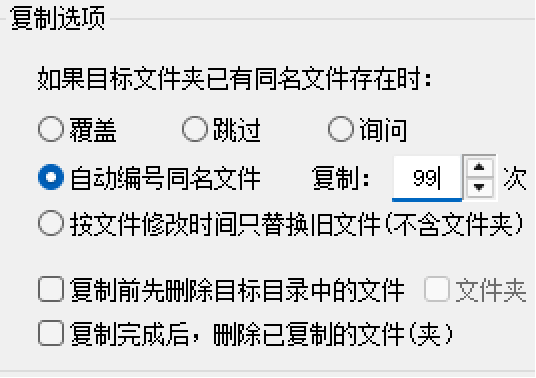 设置复制选项