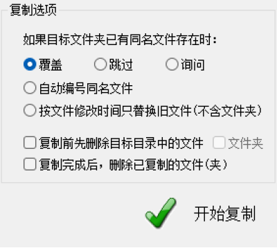 设置复制选项